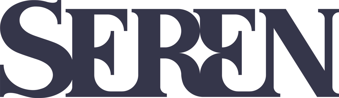 What Editors Want – Poetry | Seren Books Blog